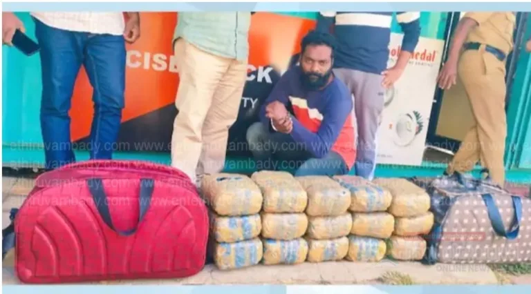 കേരളത്തിലേക്ക് കെഎസ്ആര്‍ടിസി ബസില്‍ കടത്തുകയായിരുന്ന 30 കിലോ കഞ്ചാവ് പിടികൂടി:മാവൂർ സ്വദേശി പിടിയിൽ