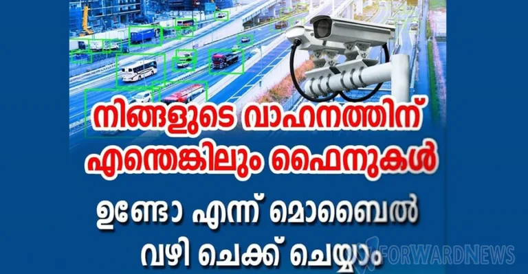 All Your Vehicle Info Needs And RTO Vehicle Information