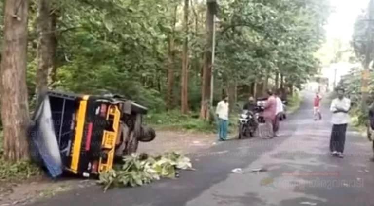 കാട്ടുപന്നി കുറുകെച്ചാടി അപകടം; വനിതാ ഓട്ടോ ഡ്രൈവര്‍ക്ക് ദാരുണാന്ത്യം, വിദ്യാർഥികൾക്കും പരിക്ക്