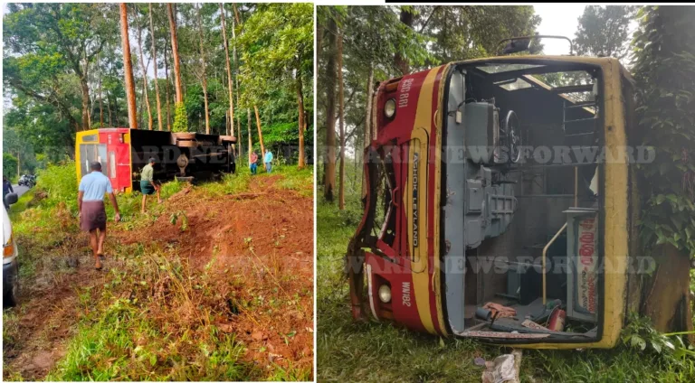 പുൽപ്പള്ളിൽ കെഎസ്ആർടിസി ബസ് മറിഞ്ഞു; യാത്രക്കാർക്ക് പരിക്ക്