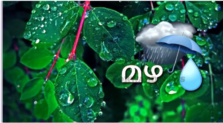 സംസ്ഥാനത്ത് ഇന്ന് മൂന്ന് ജില്ലകളില്‍ യെല്ലോ അലെര്‍ട്ട്; ഒറ്റപ്പെട്ട ശക്തമായ മഴയ്ക്ക് സാധ്യത