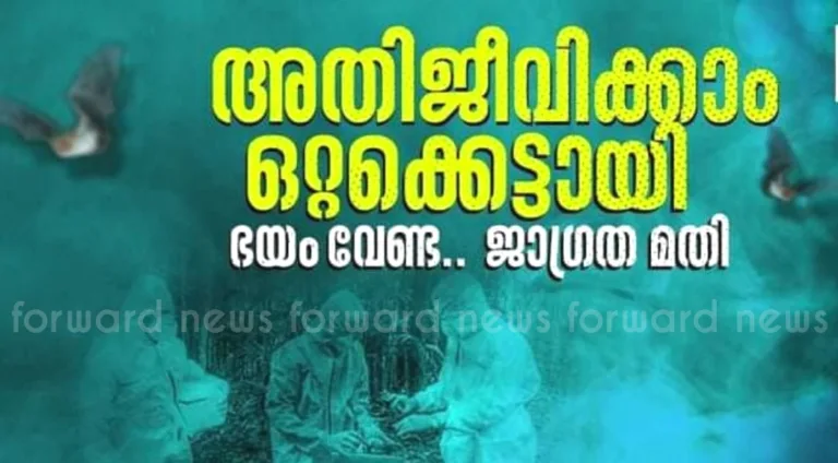 നിപ; ജില്ലക്ക് ആശ്വാസദിനം, പുതിയ കേസുകൾ ഇല്ല