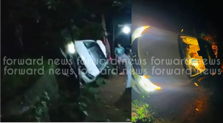 ആഡംബര കാർ താഴ്ചയിലേക്ക് മറിഞ്ഞു; പരിശോധനയ്ക്കിടെ ലഭിച്ചത് മയക്കുമരുന്നും ഇലക്ട്രിക് തുലാസും ഒരാൾ പിടിയിൽ