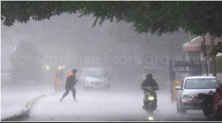 സംസ്ഥാനത്ത് ഇന്ന് ശക്തമായ മഴയ്ക്ക് സാധ്യത;6 ജില്ലകളിൽ യെല്ലോ അലർട്ട്