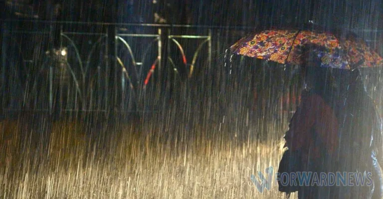 സംസ്ഥാനത്ത് അടുത്ത 5 ദിവസം മഴയ്‌ക്ക് സാധ്യത; 2 ജില്ലകളിൽ ഓറഞ്ച് അലർട്ട്