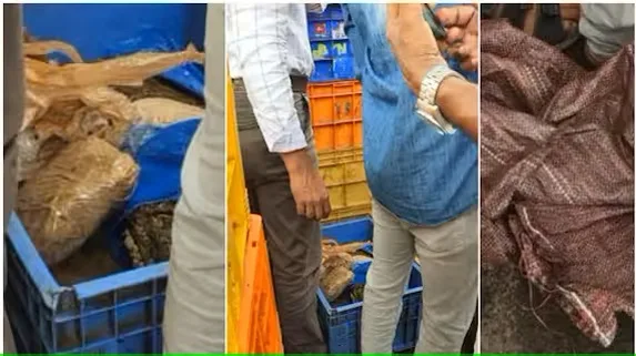 പുറത്ത് നിന്ന് നോക്കിയാല്‍ വെറുമൊരു മീൻ വണ്ടി! അകത്ത് ഒളിപ്പിച്ച വലിയ രഹസ്യം പുറത്തായി, ഞെട്ടി പൊലീസും