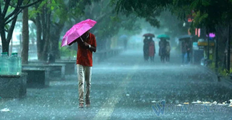 സംസ്ഥാനത്ത് ഇന്നും വ്യാപക മഴയ്ക്ക് സാധ്യത:എട്ട് ജില്ലകളിൽ യെല്ലോ അലർട്ട്