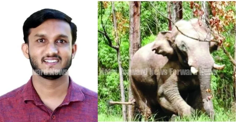 അക്രമകാരിയായ ആനയെ വെടിവെച്ച്‌ കൊല്ലണം: ജുനൈദ് കൈപ്പാണി