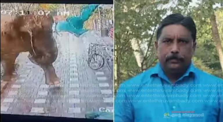 കാട്ടാനാക്രമണം; അജീഷിന്‍റെ കുടുംബത്തിന് ധനസഹായം പ്രഖ്യാപിച്ച് കർണാടക, 15 ലക്ഷം നല്‍കും