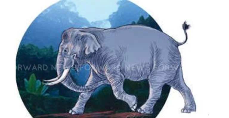 മൂന്നാറില്‍ കാട്ടാനയുടെ ആക്രമണത്തിൽ യുവാവിന് ദാരുണാന്ത്യം.
