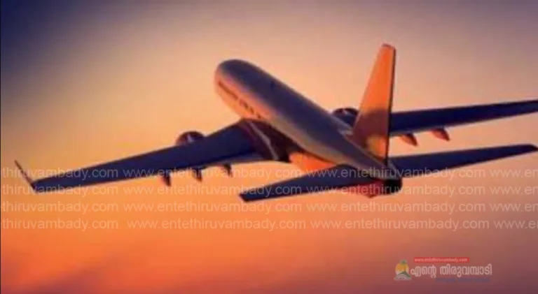 ഇരുചക്ര വാഹനങ്ങളിലെ ഡെലിവറി ജോലികൾ ഇനി സ്വദേശികള്‍ക്ക് മാത്രമായി പരിമിതപ്പെടുത്തും