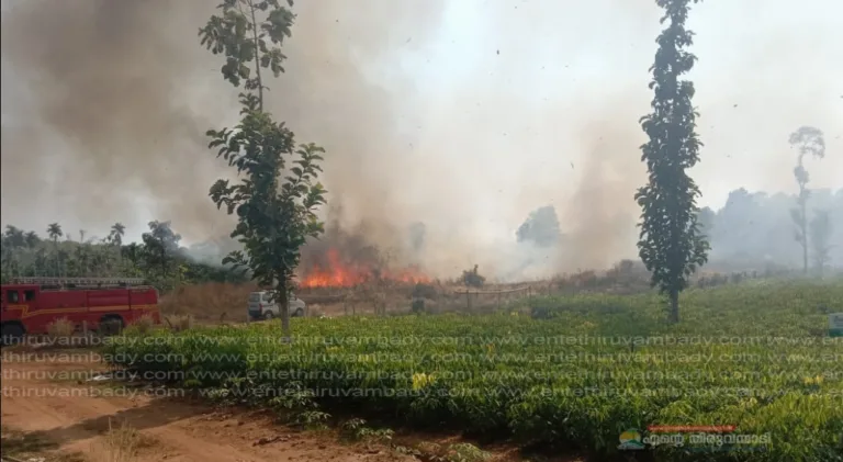 നിലമ്പൂരിൽ വൻ തീപിടുത്തം; ഏക്കർ കണക്കിന് സ്ഥലം തീയിൽ കത്തിയമർന്നു