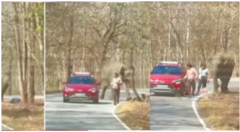 യാത്രക്കാര്‍ക്ക് നേരെ പാഞ്ഞടുത്ത് കാട്ടാന; രക്ഷപ്പെട്ടത് തലനാരിഴയ്ക്ക്; വീഡിയോ കാണാം