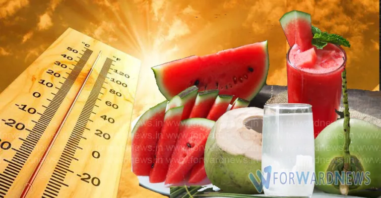Health Tips:ശരീരം തണുപ്പിക്കാന്‍ കഴിക്കാം ഈ ഭക്ഷണങ്ങള്‍…