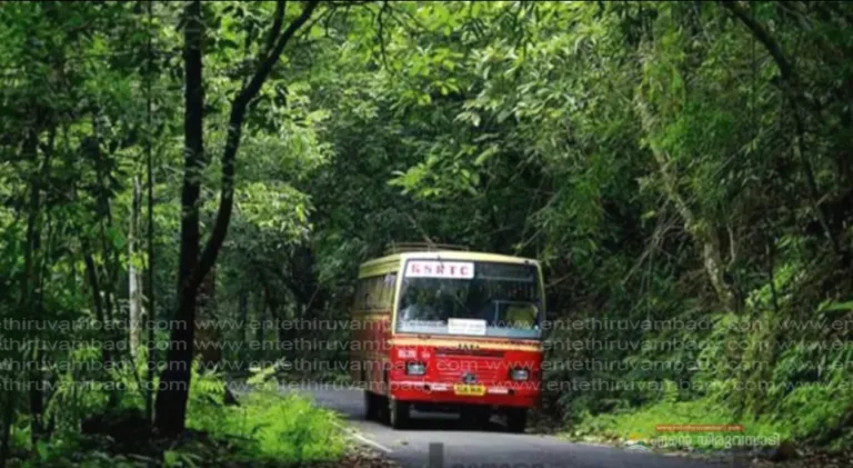 കെ എസ് ആര്‍ ടി സി ബജറ്റ് ടൂറിസം ; വനിതാദിനത്തില്‍ വനിതകള്‍ക്കായി വിനോദയാത്ര