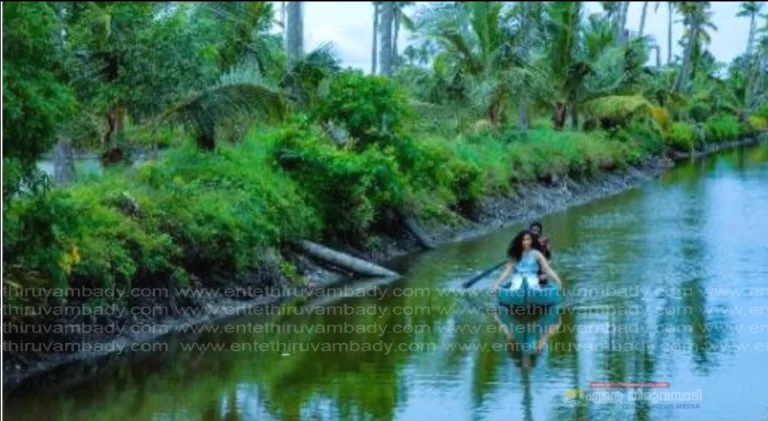 ആഭ്യന്തര സഞ്ചാരികളുടെ എണ്ണം സർവകാല റെക്കോർഡിൽ