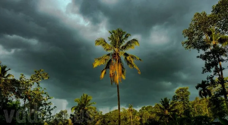 സംസ്ഥാനത്ത് വേനൽ മഴ തുടരാൻ സാധ്യത