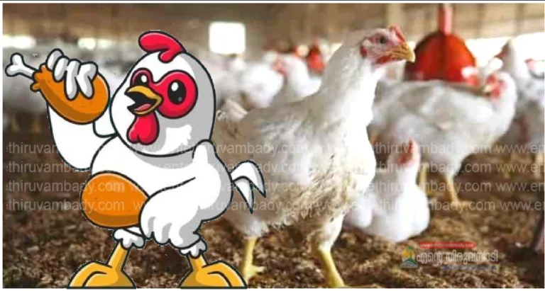 ചൂടുകാലത്തെ ചിക്കൻ കറിക്ക് എരിവേറും