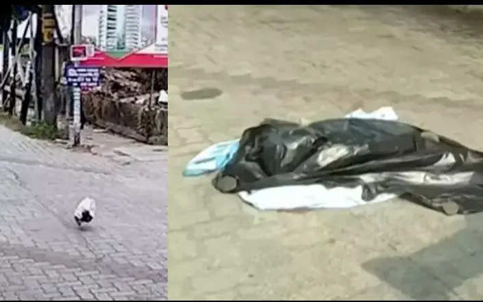 നവജാത ശിശുവിന്റെ കൊലപാതകം അമ്മ കുറ്റം സമ്മതിച്ചു…