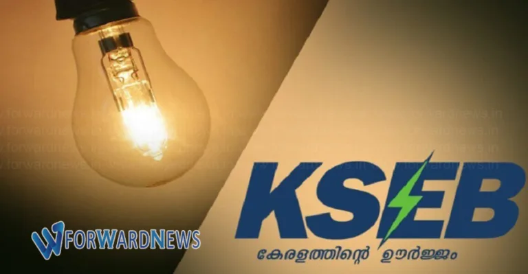 തത്ക്കാലം വൈദ്യുതി നിയന്ത്രണമില്ല; മറ്റ് വഴികൾ തേടണമെന്ന് കെഎസ്ഇബിയോട് സർക്കാർ