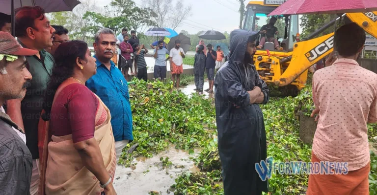 മഴക്കെടുതികൾ നേരിടാൻ വകുപ്പു സുസജ്ജം: മന്ത്രി ജെ ചിഞ്ചുറാണി