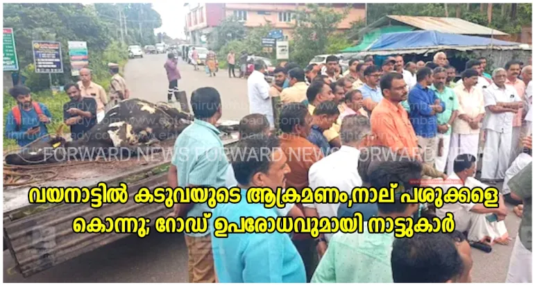 വയനാട്ടിൽ കടുവയുടെ ആക്രമണം, നാല് പശുക്കളെ കൊന്നു; റോഡ് ഉപരോധവുമായി നാട്ടുകാർ