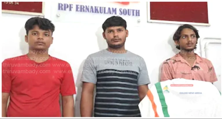 ട്രെയിൻ വേഗം കുറയുമ്പോൾ ചാടിക്കയറി മോഷണം; കൊച്ചിയിൽ ഇതര സംസ്ഥാന സംഘം പിടിയിൽ