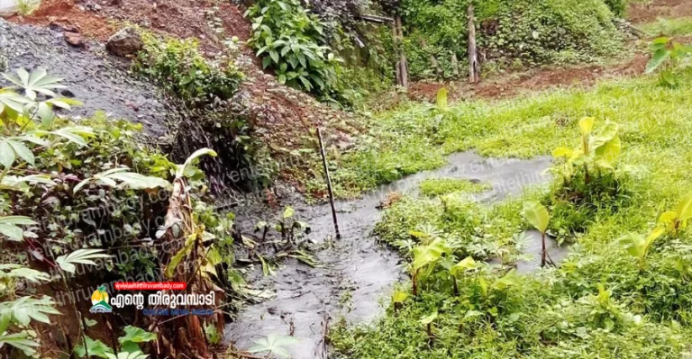 കല്ലുരുട്ടി തറോൽ പ്രദേശത്ത് കൃഷിയിടത്തിൽ കക്കൂസ് മാലിന്യം തള്ളി