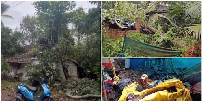 സംസ്ഥാനത്ത് മിന്നല്‍ ചുഴിലിയിലും ശക്തമായ കാറ്റിലും വ്യാപക നഷ്ടം