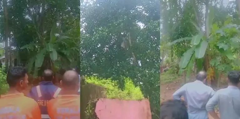 കയറുമായി പ്ലാവിൽ കയറി കുരുക്കിട്ടു, കൈയ്യിൽ വിഷവും; ആത്മഹത്യാ ഭീഷണിയുമായി 62 കാരൻ, ഒടുവില്‍ താഴെയിറക്കി