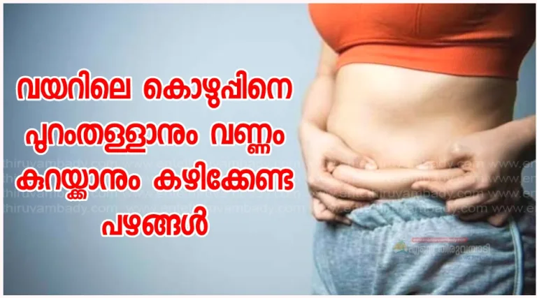വയറിലെ കൊഴുപ്പിനെ പുറംതള്ളാനും വണ്ണം കുറയ്ക്കാനും കഴിക്കേണ്ട പഴങ്ങള്‍