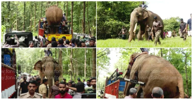 പേരുപോലെ തന്നെ ‘സാധു’; സിനിമാഭിനയം പ്രശസ്തനാക്കി,  ‘പുതുപ്പള്ളി സാധു’കണ്ടെത്തി