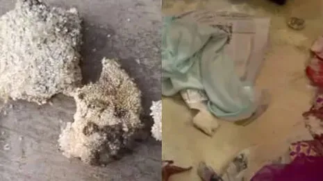 ഭക്ഷ്യകിറ്റ് പുഴുവരിച്ചെന്ന വാർത്ത;ഭക്ഷ്യ കമ്മീഷൻ നടപടി സ്വീകരിച്ചു