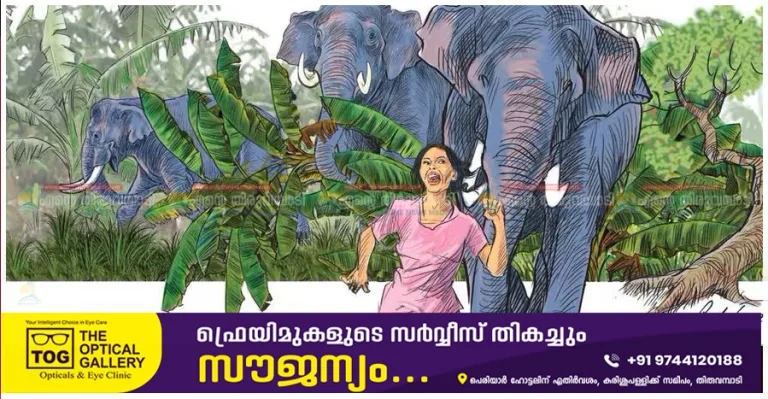 മനുഷ്യ-വന്യജീവി സംഘർഷം: പരിഹാരത്തിനായി സമഗ്ര കർമ്മ പദ്ധതി