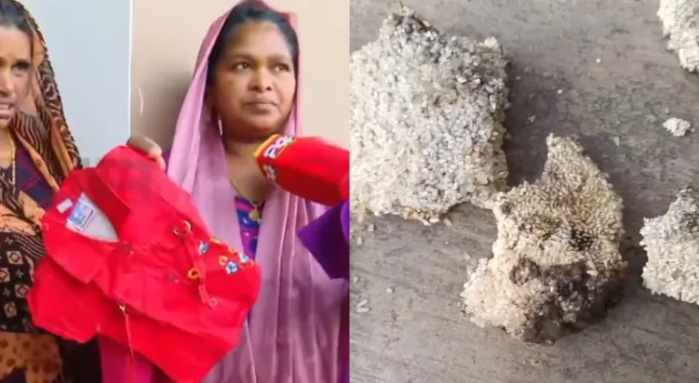 വയനാട്ടിലെ ദുരന്തബാധിതര്‍ക്ക് പഞ്ചായത്ത് വക ദുരന്തം; വിതരണം ചെയ്തത് പുഴുവരിച്ച അരിയും മുഷിഞ്ഞ വസ്ത്രങ്ങളും