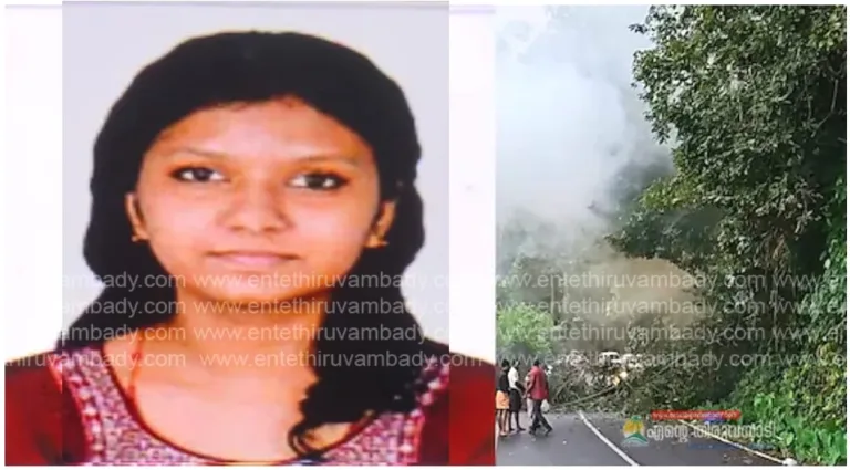 ഓടുന്ന ബൈക്കിനു മുകളിലേക്കു കാട്ടാന പന മറിച്ചിട്ടു; വിദ്യാർഥിനിക്ക് ദാരുണാന്ത്യം, സുഹൃത്തിന് പരുക്ക്