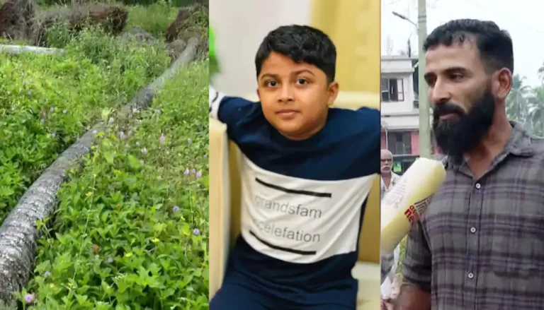 നിസാലിന്‍റെ മരണത്തിന്‍റെ ഞെട്ടലിൽ നാട്;  തെങ്ങ് വീണപ്പോൾ പെട്ടെന്ന് ഓടിമാറാനായില്ല