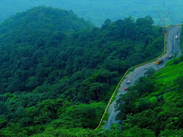 കോഴിക്കോട് വയനാട് ദേശീയപാത എൻ.എച്ച് 766 നാലുവരിപ്പാതയായി വികസിപ്പിക്കാൻ തീരുമാനമായി