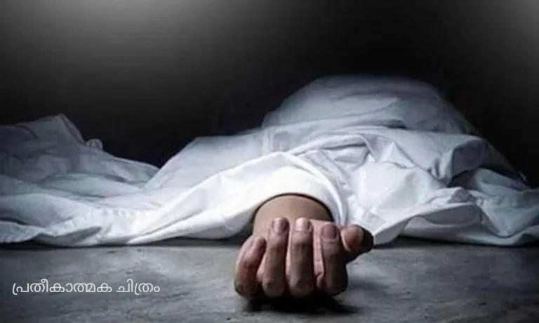വയനാട്ടിൽറിസോർട്ടിന് പുറത്ത് രണ്ട് പേരെ മരിച്ച നിലയിൽ കണ്ടെത്തി.