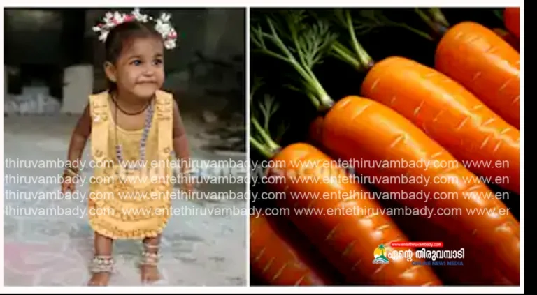 കാരറ്റ് കഷ്ണം തൊണ്ടയിൽ കുരുങ്ങി രണ്ടര വയസുകാരി മരിച്ചു