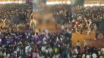പുതിയങ്ങാടി പള്ളി നേർച്ചക്കിടെ ആനയിടഞ്ഞു;