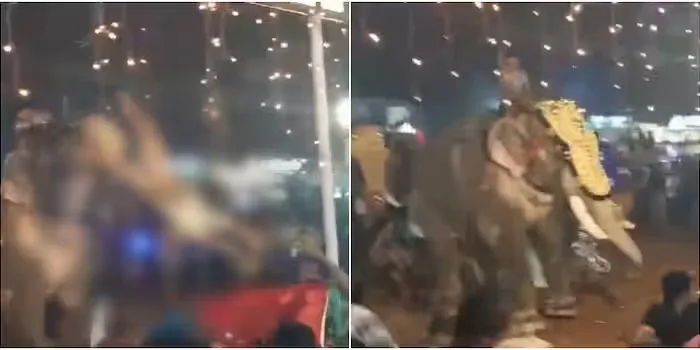 തിരൂർ പുതിയങ്ങാടി നേർച്ചക്കിടെ ആനയിടഞ്ഞു;  തിക്കിലും തിരക്കിലും നിരവധി പേർക്ക് പരിക്ക്