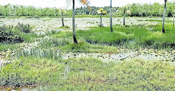 രാമനാട്ടുകര മിനി സ്റ്റേഡിയം; യാഥാർഥ്യത്തിലേക്ക്
