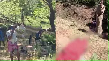 സംസ്ഥാനത്ത് വീണ്ടും കാട്ടാന ആക്രമണം; വയനാട്ടിൽ 27 വയസുകാരന് ദാരുണാന്ത്യം, 40 ദിവസത്തിൽ കൊല്ലപ്പെട്ടത് 7 പേർ