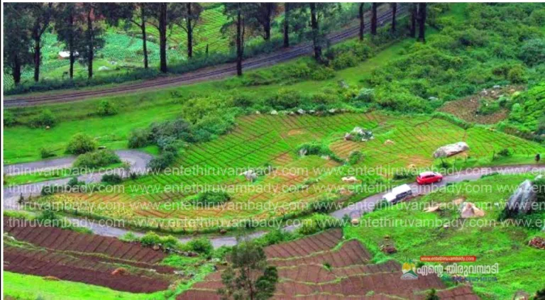 വിനേദ സഞ്ചാര കേന്ദ്രങ്ങളില്‍ നിയന്ത്രണം ഏര്‍പ്പെടുത്തി