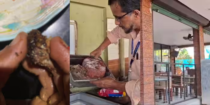 പാഴ്സൽ വാങ്ങിയ അൽഫാമിൽ പുഴുക്കള്‍, കഴിച്ച വീട്ടുകാര്‍ക്ക് വയറുവേദന, കാറ്ററിങ് യൂണിറ്റ് പൂട്ടി ആരോഗ്യവകുപ്പ്