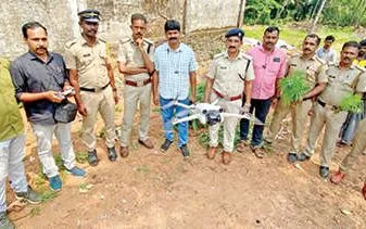 പോലീസിന്റെ ഡ്രോൺ നിരീക്ഷണം 16 കഞ്ചാവ് ചെടികൾ കണ്ടെത്തി