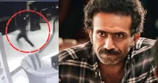 ഷൈൻ ടോം ചാക്കോയ്ക്ക് ജാമ്യം