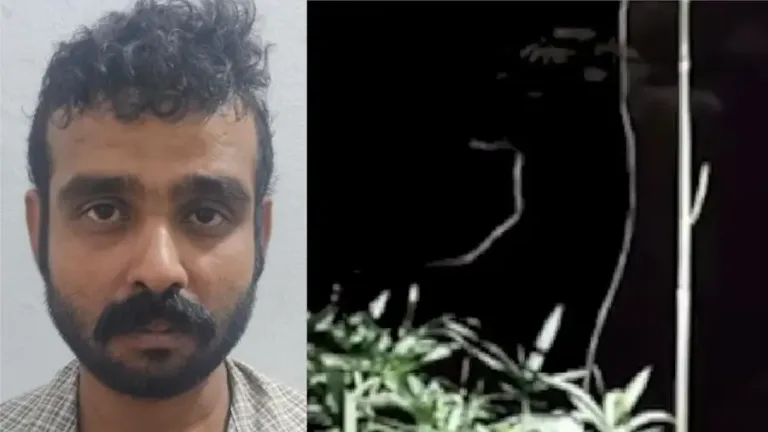 പന്നിക്കെണിയിൽ നിന്നും ഷോക്കേറ്റ്‌ വിദ്യാർഥി മരിച്ച സംഭവം; പ്രതി പിടിയിൽ