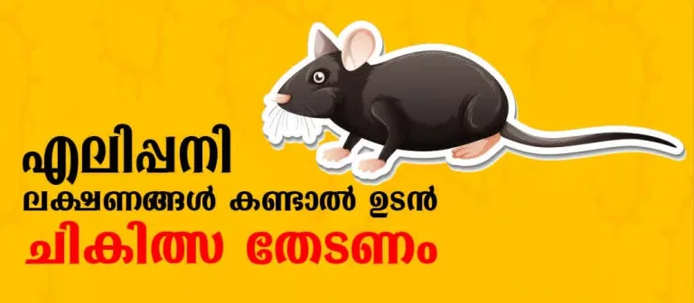എലിപ്പനി: ജാഗ്രത പുലര്‍ത്തണം
